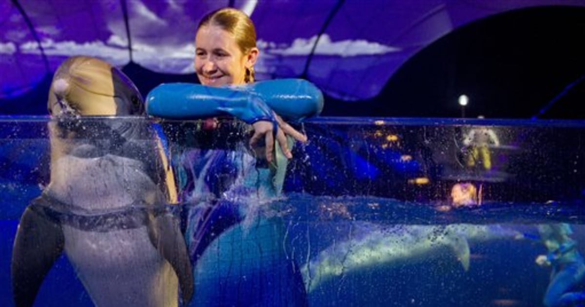 Broadwaystyle dolphin show set to open in Ga.